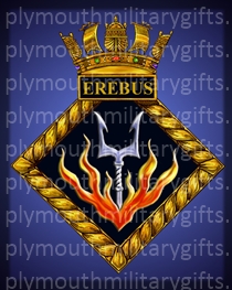 HMS Erebus Magnet
